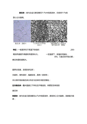 常见金相组织的定义和特征.docx