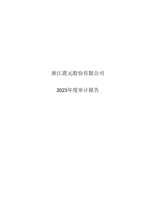 浙江震元：2023年年度审计报告.docx