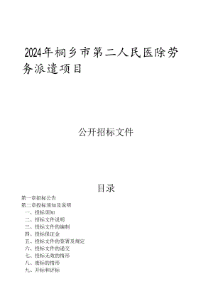 第二人民医院劳务派遣项目招标文件.docx