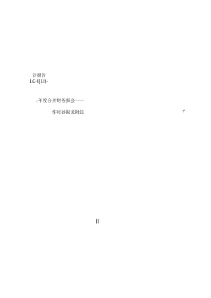 江南化工：2023年年度审计报告.docx