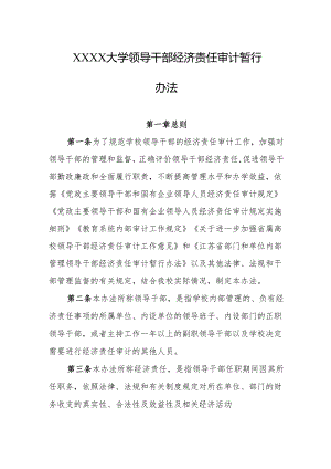 大学领导干部经济责任审计暂行办法.docx