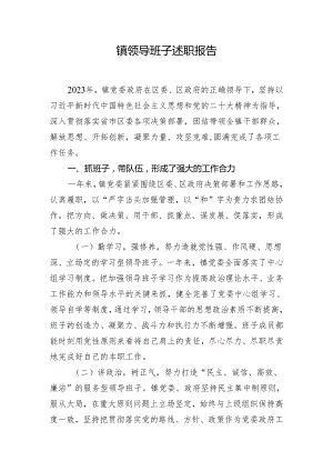 镇领导班子述职报告.docx
