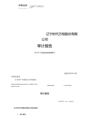 时代万恒财务报表审计报告.docx