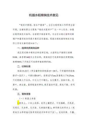 机插水稻育秧技术意见.docx