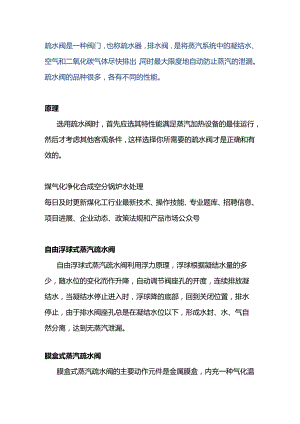 疏水阀工作原理动图及防冻措施.docx