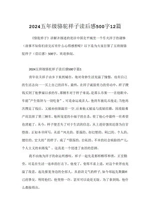 2024五年级骆驼祥子读后感500字12篇.docx
