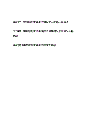 学习在山东考察时重要讲话加强警示教育、持续深化整治形式主义心得体会.docx