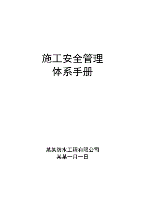 施工安全管理体系手册.doc