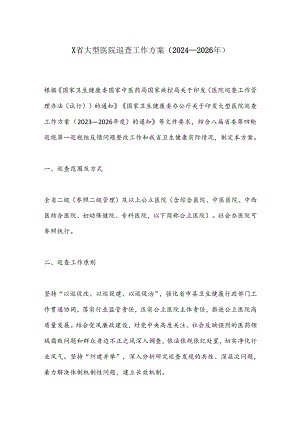 X省大型医院巡查工作方案（2024—2026年）.docx