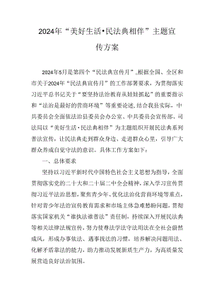 2024年“美好生活民法典相伴” 主题宣传方案.docx