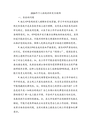 2024年个人检视剖析发言提纲.docx