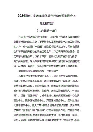 （6篇）2024国有企业改革深化提升行动专题推进会上的汇报发言.docx