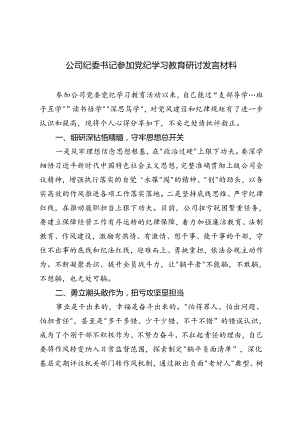 2024年公司纪委书记参加党纪学习教育研讨发言材料县区纪委书记汇报材料.docx