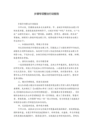 乡镇专项整治行动报告.docx