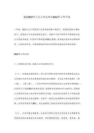 X镇2023年人大工作总结及2024年工作计划.docx