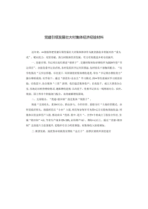 党建引领发展壮大村集体经济经验材料.docx