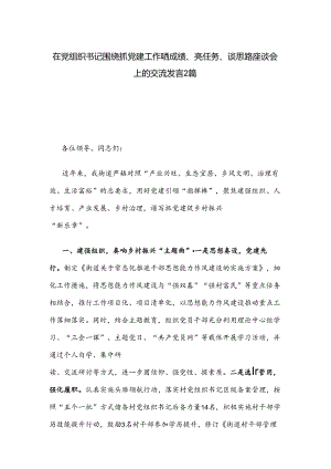 在党组织书记围绕抓党建工作晒成绩、亮任务、谈思路座谈会上的交流发言2篇.docx