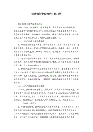 统计造假专项整治工作总结.docx