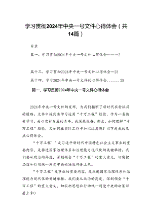 学习贯彻2024年中央一号文件心得体会范文14篇（精编版）.docx