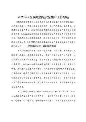 2023年X区民政领域安全生产工作总结.docx