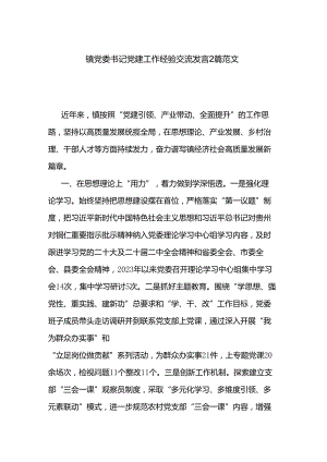 镇党委书记党建工作经验交流发言2篇范文.docx