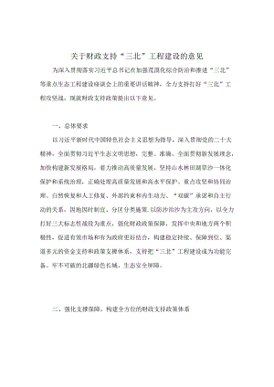 2024关于财政支持“三北”工程建设的意见.docx