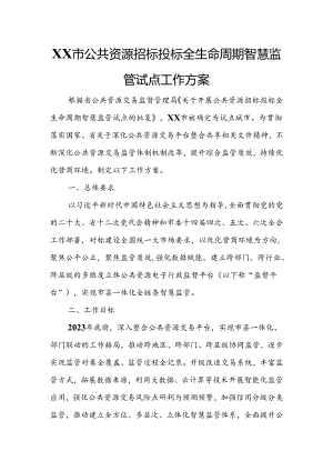 XX市公共资源招标投标全生命周期智慧监管试点工作方案.docx