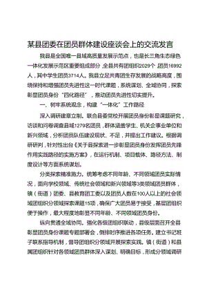 某县团委在团员群体建设座谈会上的交流发言.docx