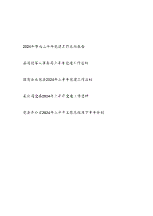 党委2024年上半年党建工作总结报告5篇.docx