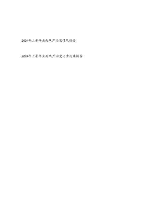 2024年上半年全面从严治党情况报告和全面从严治党述责述廉报告.docx