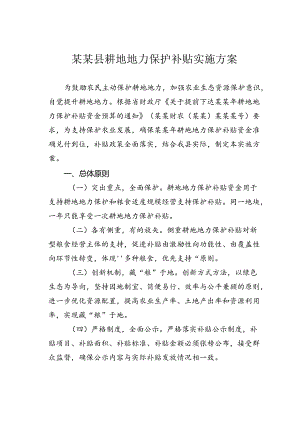 某某县耕地地力保护补贴实施方案.docx