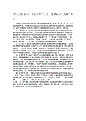 经验交流：做实“选育管储”文章建强村级“头雁”队伍.docx