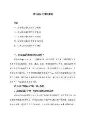 新加坡公司注册指南（2024年）.docx