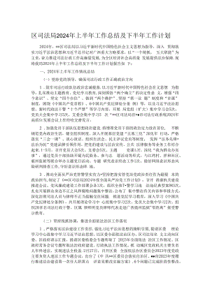 区司法局2024年上半年工作总结及下半年工作计划.docx