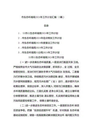 (5篇)市生态环境局2024年工作计划汇编.docx