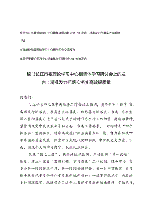 3篇 2024年秘书长在市委理论学习中心组集体学习研讨会上的发言：精准发力抓落实 务实高效提质量.docx
