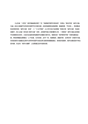 SZSD02 0001—2024城市大脑业务协同服务技术规范.docx
