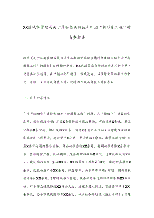 XX区城市管理局关于落实坚决防范和纠治“新形象工程”的自查报告.docx