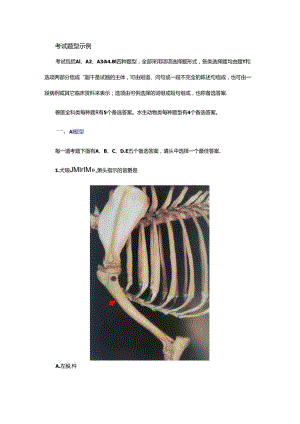 全国执业兽医资格考试题型介绍.docx