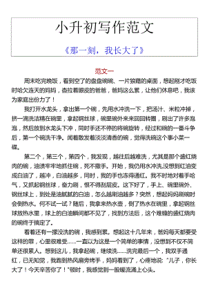 小升初写作范文 《那一刻我长大了》.docx