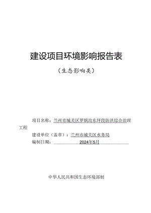 兰州市城关区罗锅沟东坪段防洪综合治理工程.docx