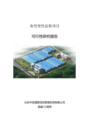 食用变性淀粉项目立项申请报告书.docx