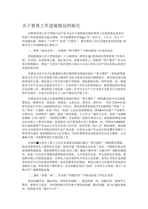 关于督查工作进展情况的报告.docx