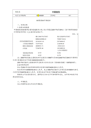 某集团公司中期报告.docx