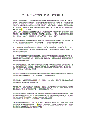 关于白洋淀芦苇的广告语（优美词句）.docx