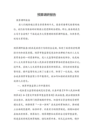 预算调研报告.docx