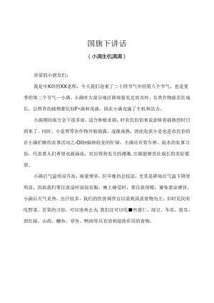 幼儿园-国旗下讲话-小满（小满生机满满）-教师版.docx
