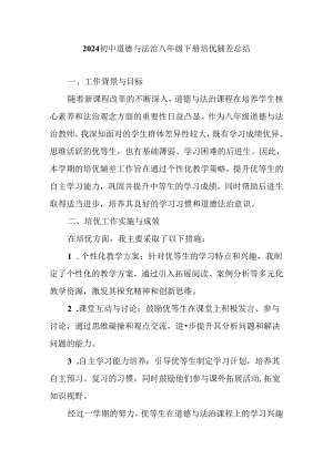 2024初中道德与法治八年级下册培优辅差总结.docx