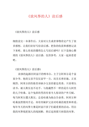 《放风筝的人》读后感.docx