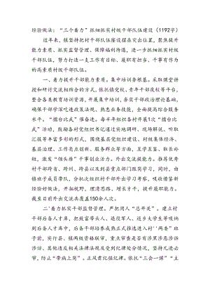 经验做法：“三个着力”抓细抓实村级干部队伍建设（1192字）.docx